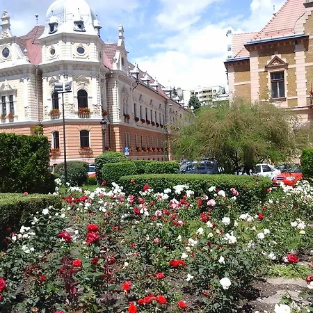 The Citadel Twin Braşov
